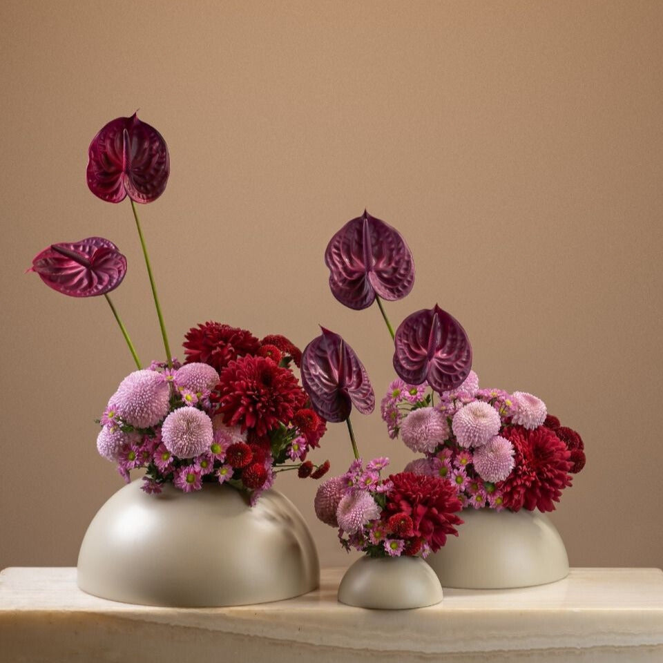 Customer Favorite (Medium)