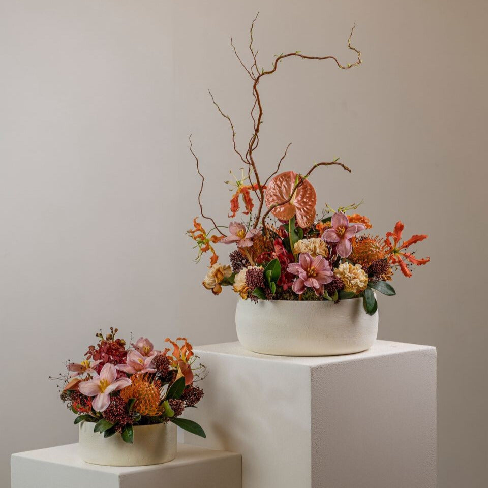 Premium Bloom (Large)