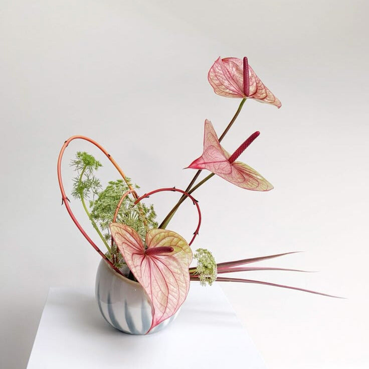 Small Arrangement (Petite)